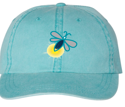 Illuminated Learning - Pigment Dyed Cap