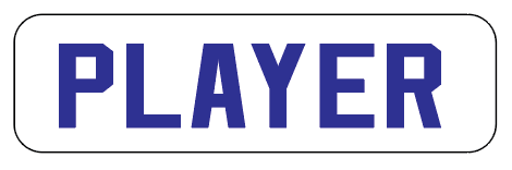 Lightning Name Bar - White